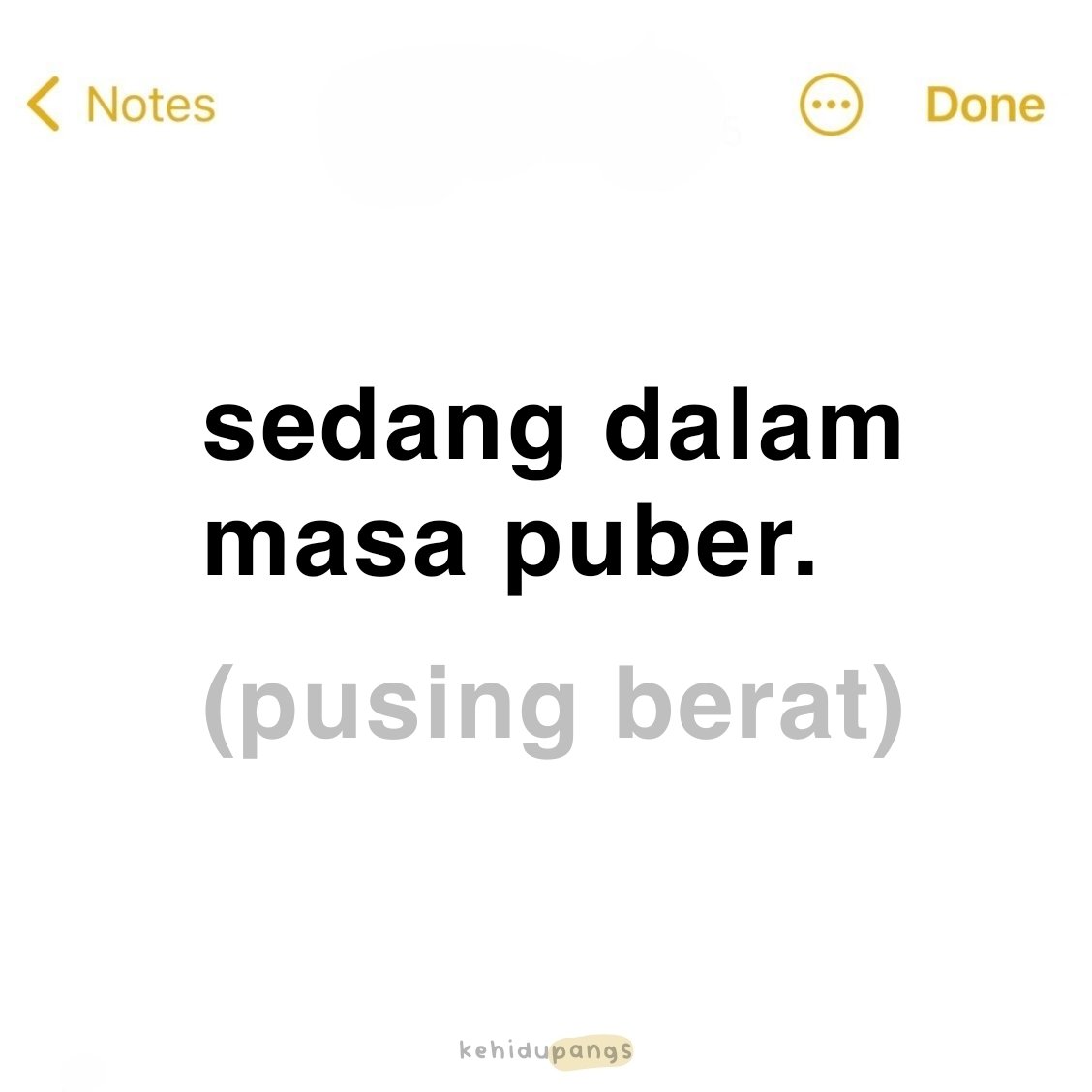 erpang tweet media