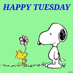 snoopy and friends tweet media