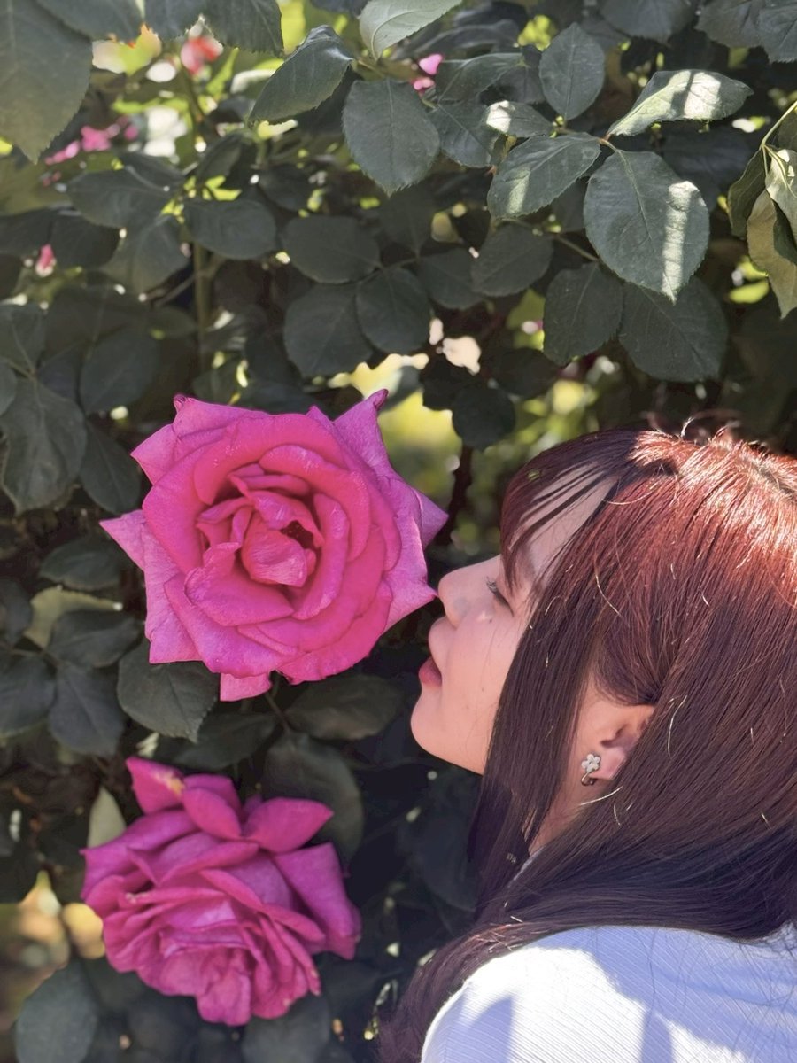Yu_IchiNosE56's tweet photo. おはよう☀️
この前たくさんお写真撮ってもらったから、近々たくさん載せるかも🥀

撮影者:あらいゆい（@yui_Rayu ） https://t.co/tiWUys4bKl
