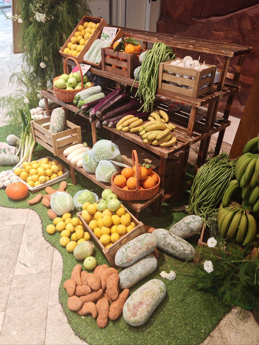 matiyashigor's tweet photo. Stocked up for the week! Fresh organic veggies, free-range eggs u0026 whole-grain staples  No more last-minute grocery runs ， https://t.co/bR349CO7Jl