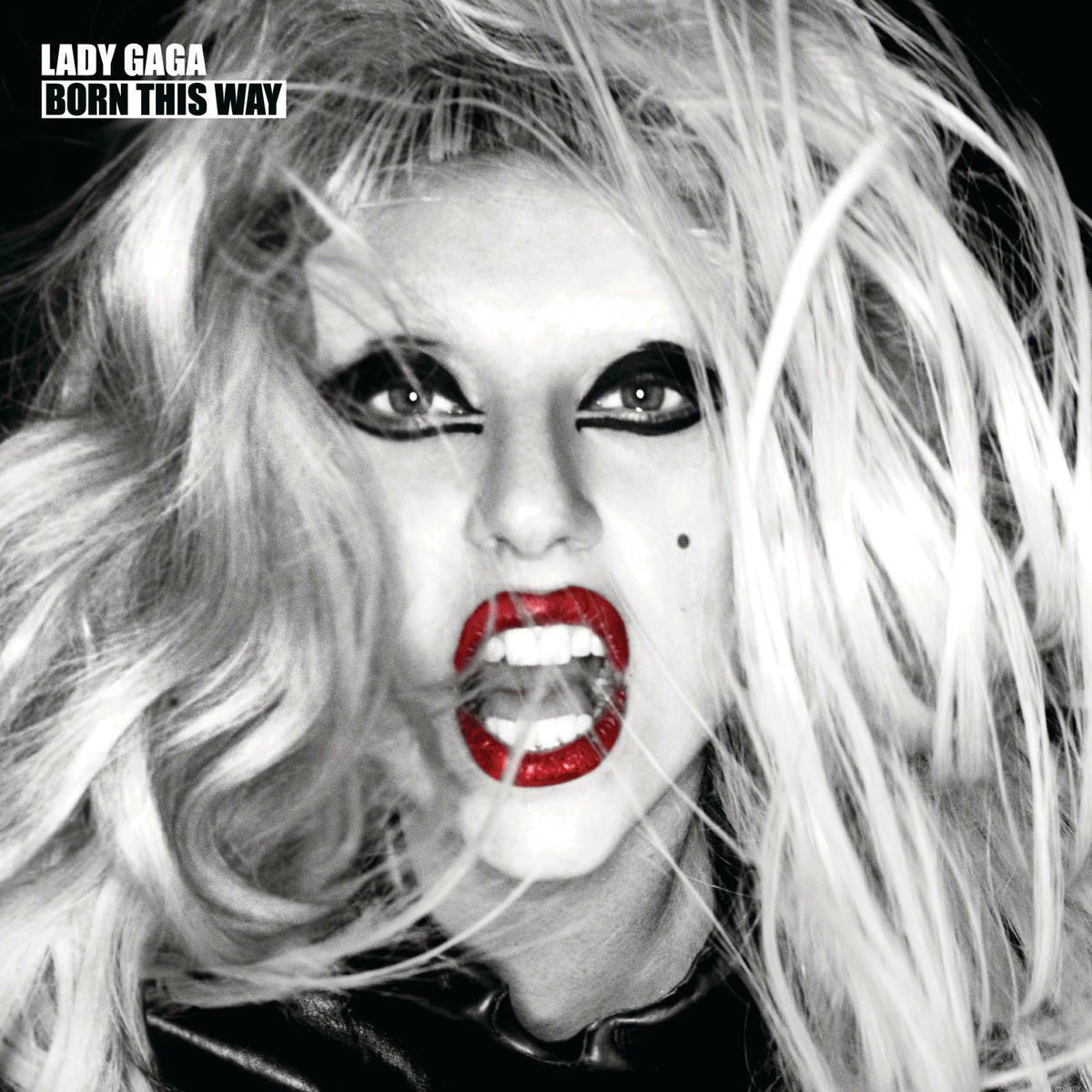 LadyGagaMonsterBlog tweet media