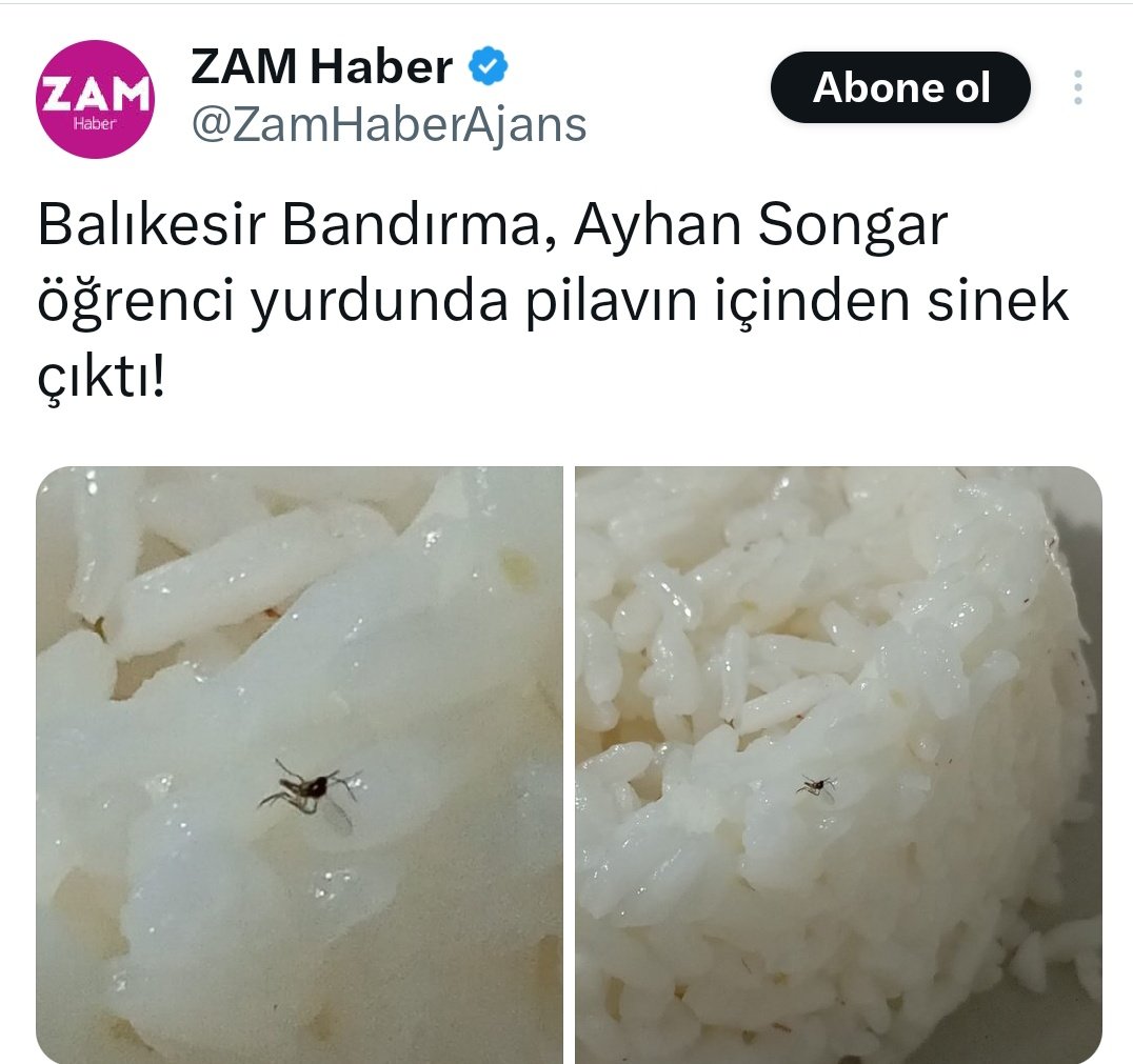 Tuğrul Bey 🇹🇷🇵🇸 tweet media