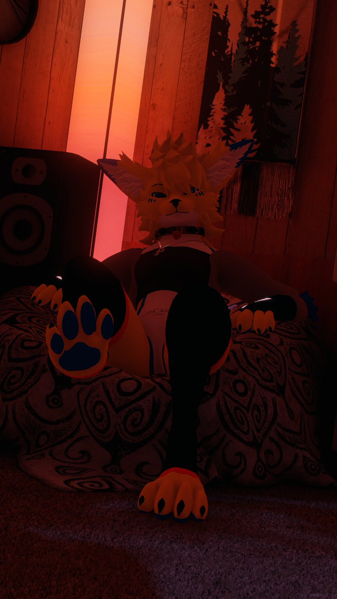 💛💙🤍Jace The Foxo🤍💙💛 tweet media