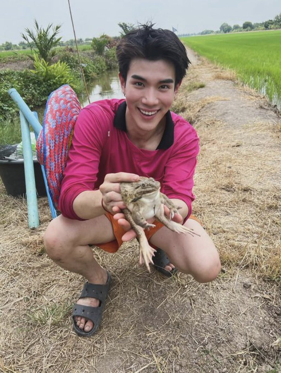 คุณหมูสอปอ˗ˏˋ₊ʚ🌻ɞ₊ˎˊ˗ tweet media