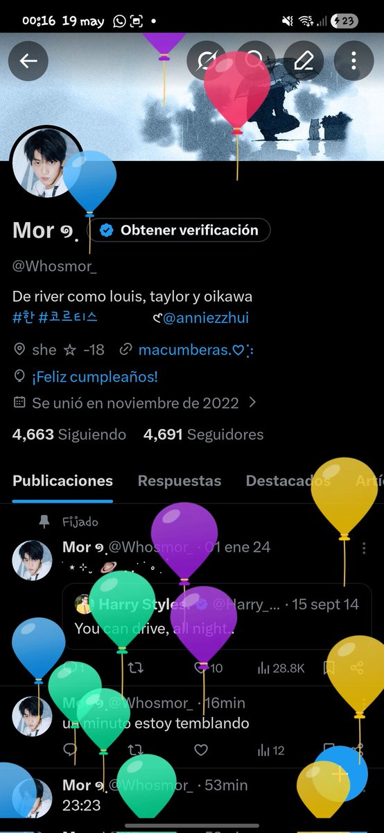 Mor ໑̣ tweet media