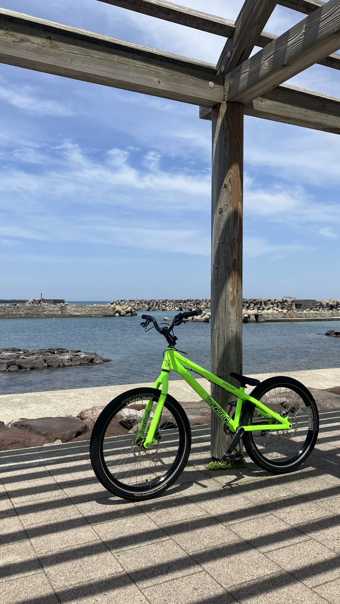 mmmmtamy's tweet photo. 熊が出るから1人で山に行くなと言われたので、海に来ました🌊 https://t.co/v68wabbIAL