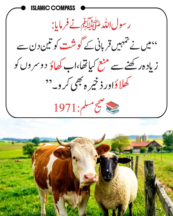mahwishzafar7's tweet photo. رسول اللہ ﷺ نے فرمایا 🌿💛 https://t.co/XfzNW8Csrr