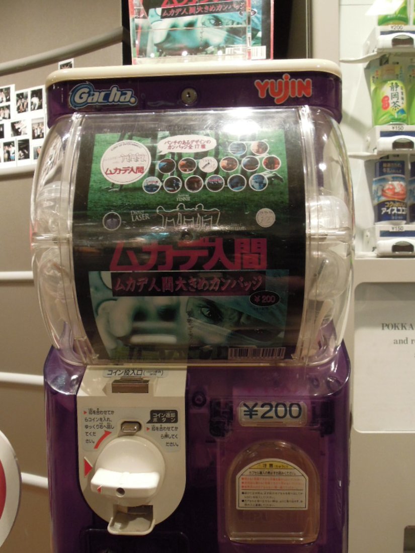 ネズミツオ tweet media