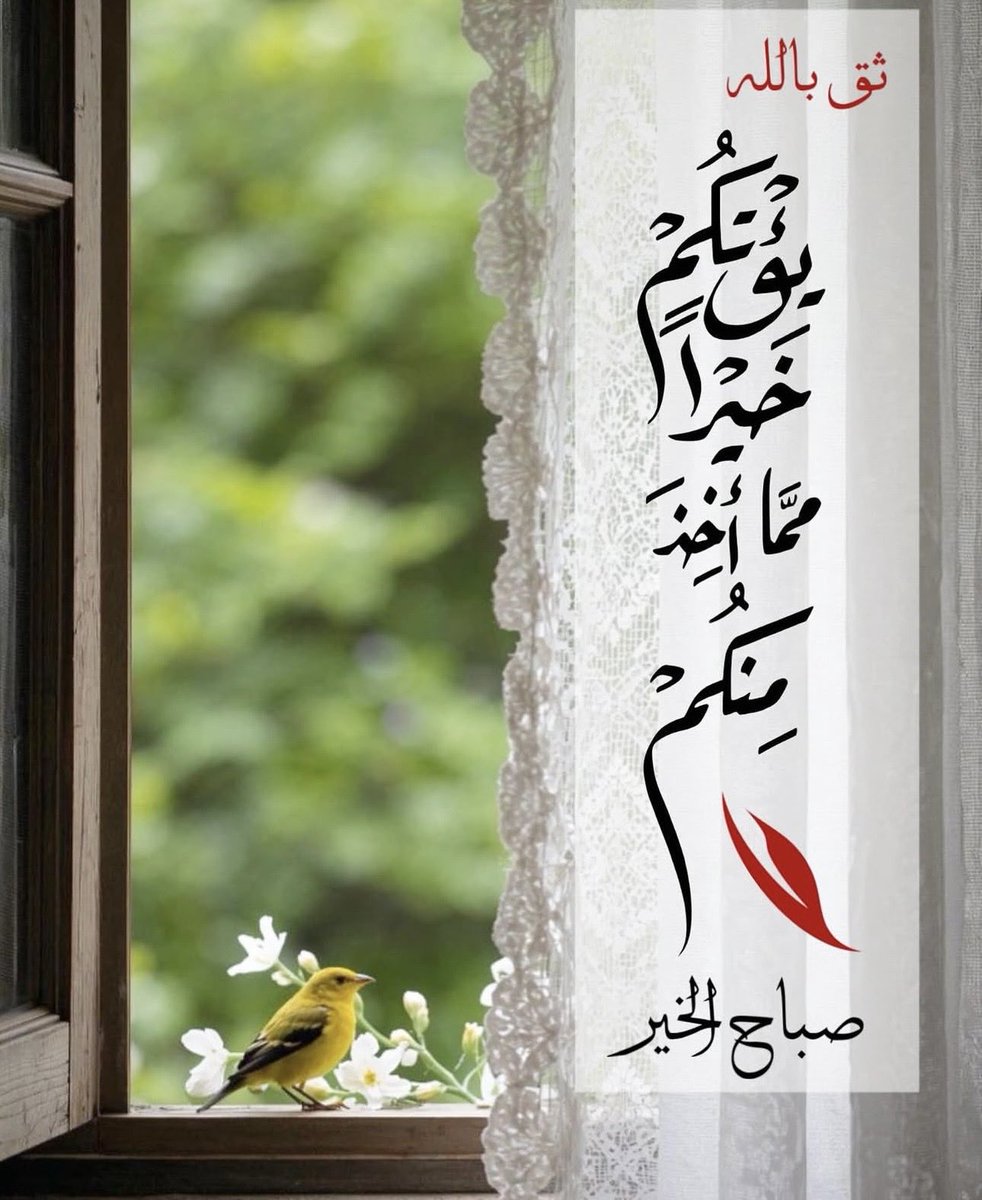كلي شموخ❤️ tweet media
