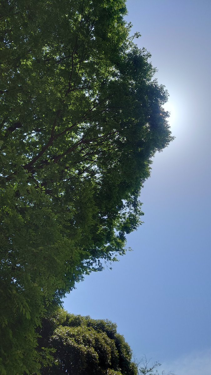 masa6907's tweet photo. 今日は出勤日。なんか初夏っぽい感じ
上着置いてくれば良かった笑
午後からも頑張りましょう
今日も１日お元気で🎵 https://t.co/D4MjJUMp5J