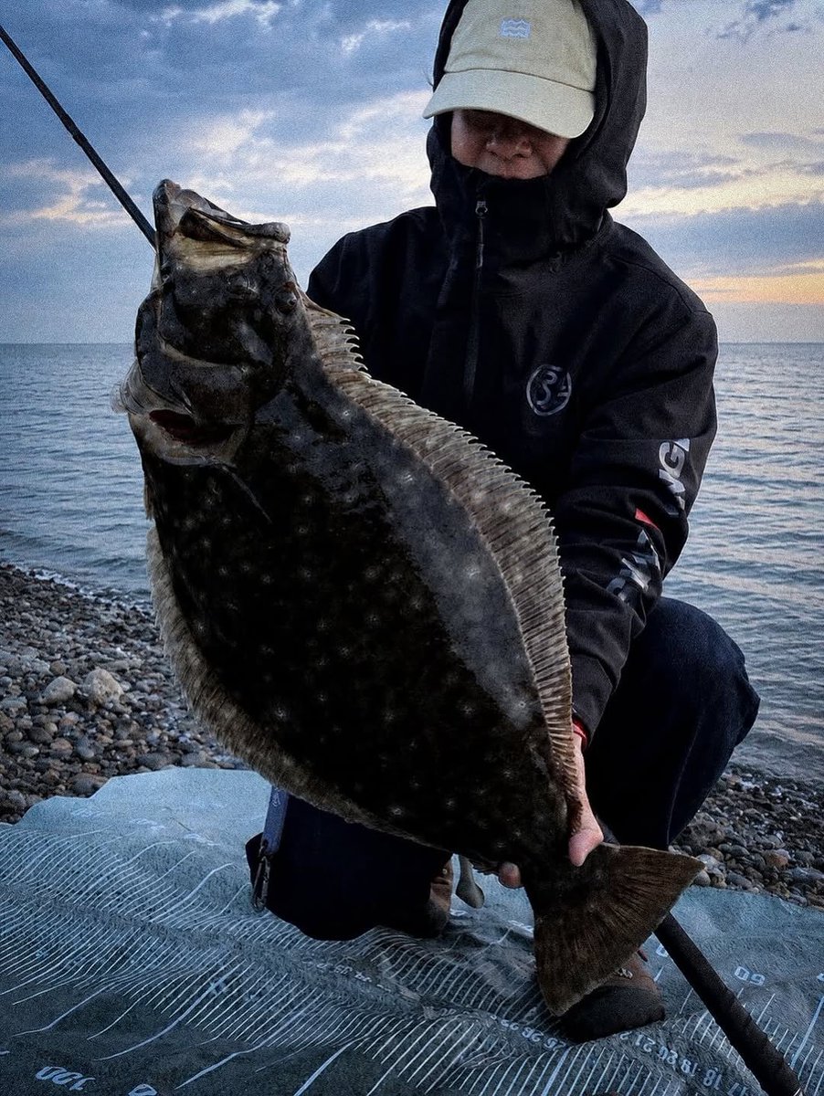 Swimbait Underground tweet media