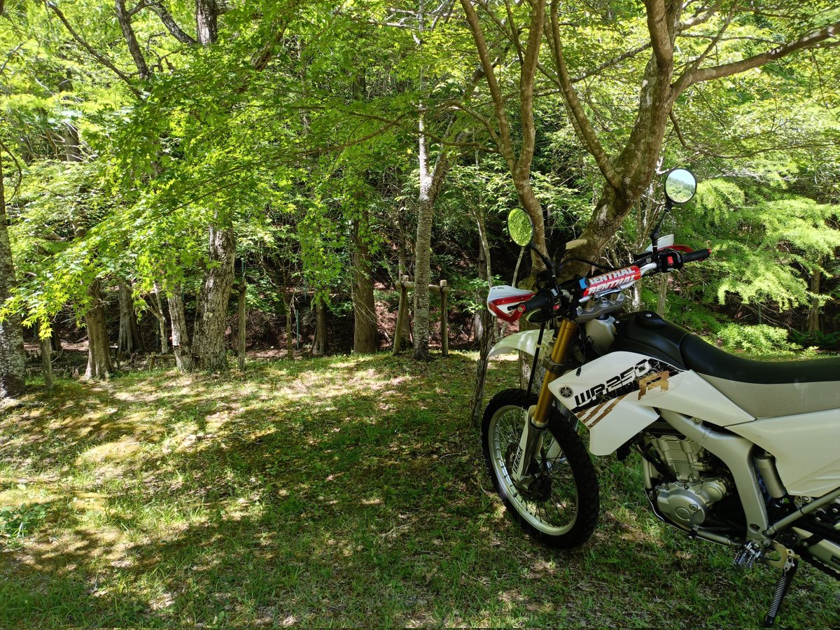 barairo_ny's tweet photo. 絵になる景色🌲 https://t.co/3UVGluwtP3