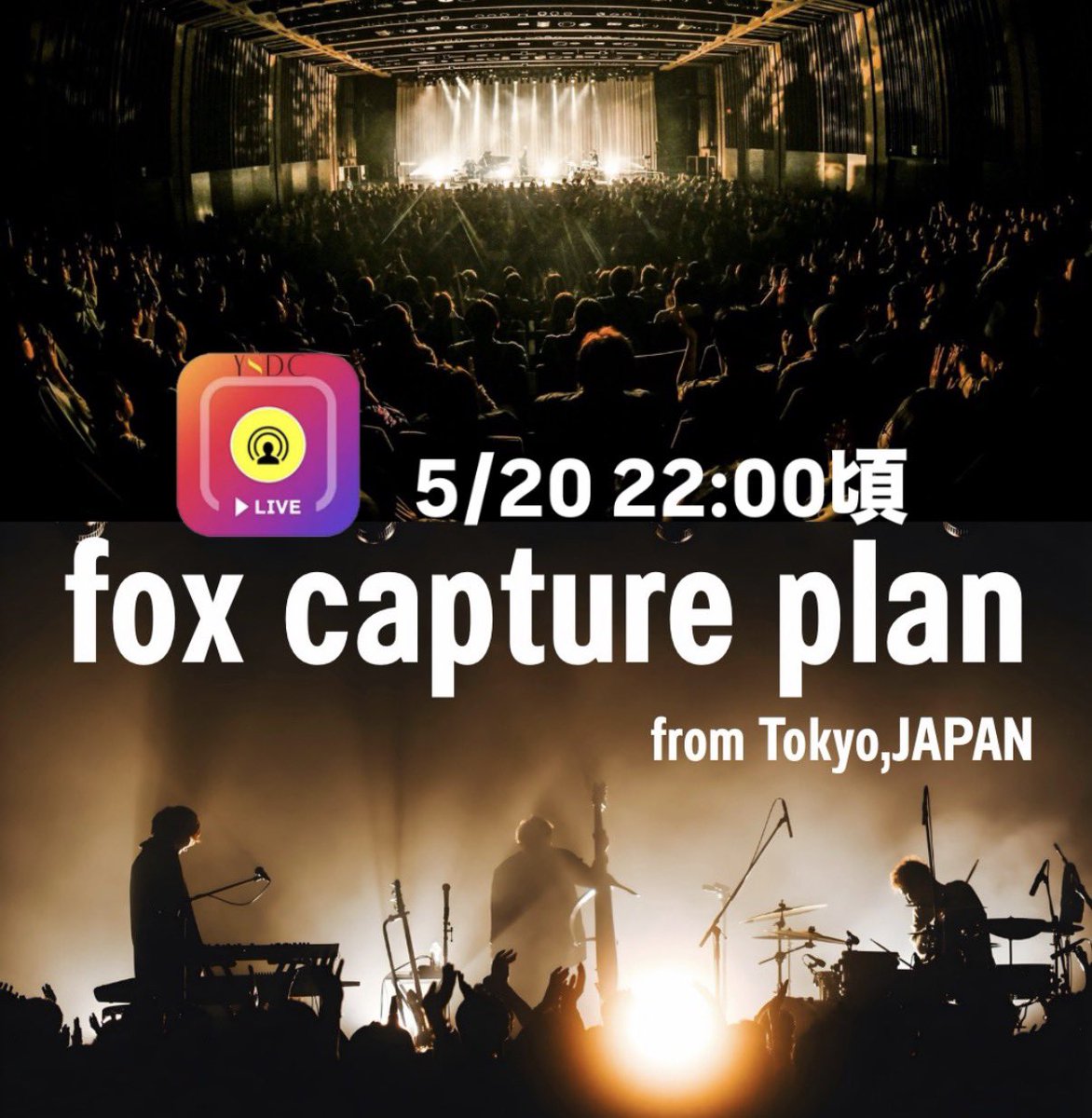 fox capture plan tweet media