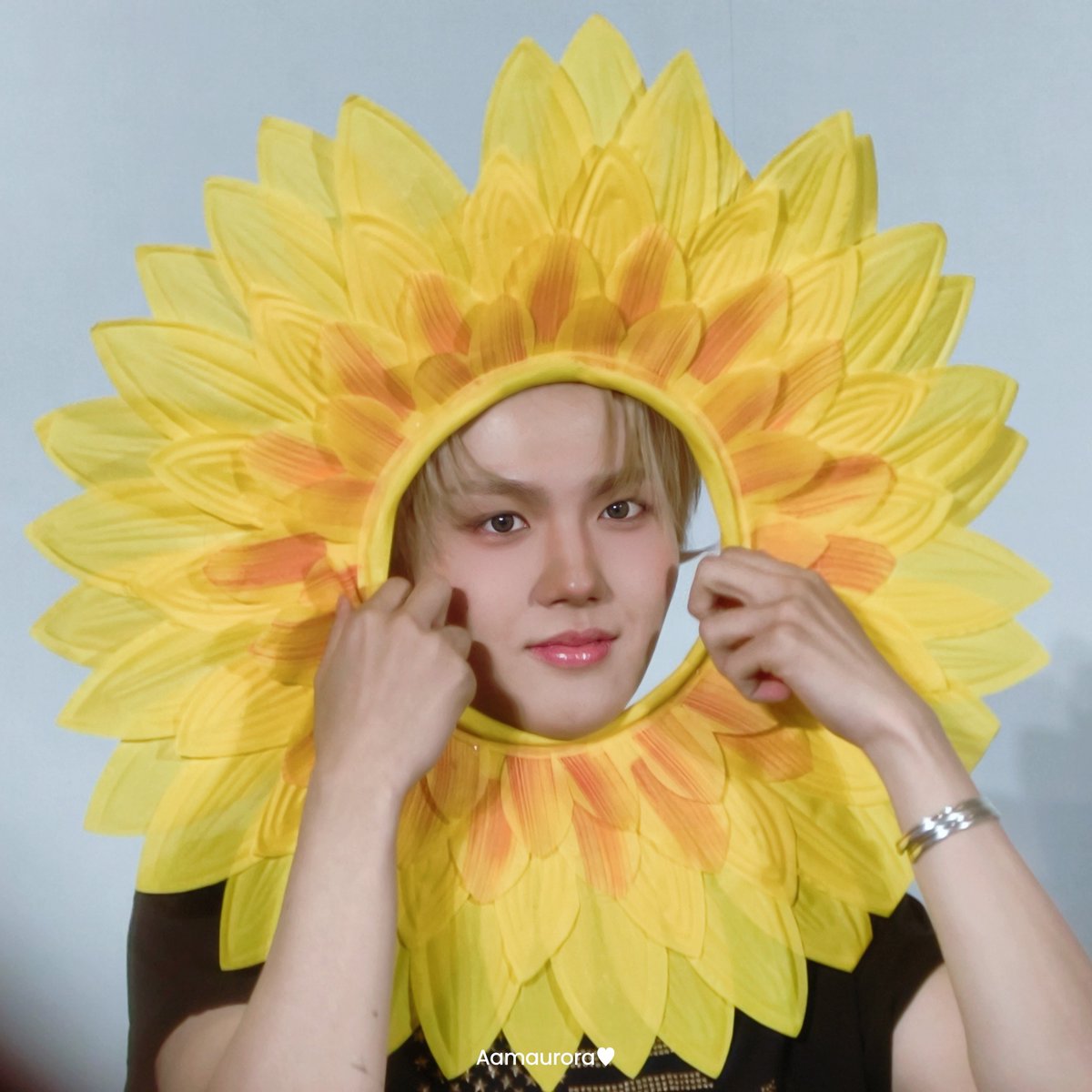 A.aurora🌻🍀( 오로라 ) tweet media