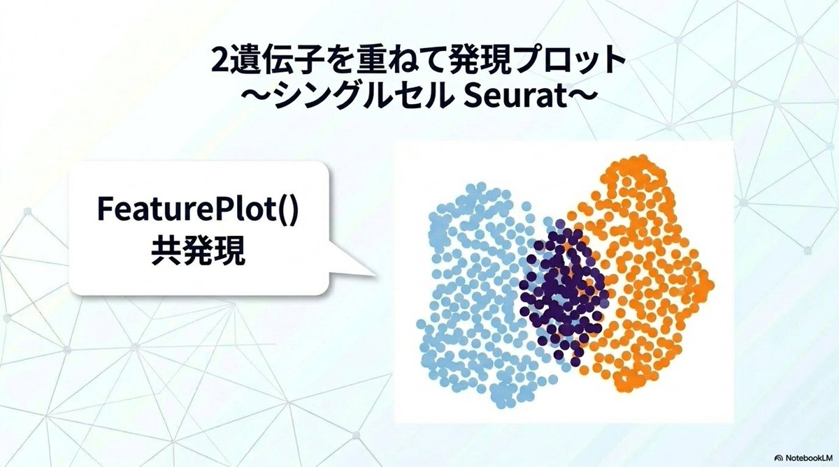 BioinfoLab's tweet photo. 【シングルセル解析部門人気記事第8位】
特定の細胞集団における複数遺伝子の共発現を確認したいことはありませんか。Seuratを用いて、2つのマーカー遺伝子の発現を重ねて美しくプロットする描画テクニックを解説します。

https://t.co/3HEYqQhwWL

細胞種を特定する際、複数のマーカーが同時に発現している細胞を視覚的に捉えることは非常に有効です。本記事では、SeuratのFeaturePlot関数に「blend=TRUE」オプションを追加し、2つの遺伝子発現を重ねて可視化する手法を紹介します。
※2023年1月〜2025年12月の弊社サイトPV数に基づくランキング（自社調べ）
#Seurat #シングルセル解析 #データ可視化 #R言語 #技術ブログ