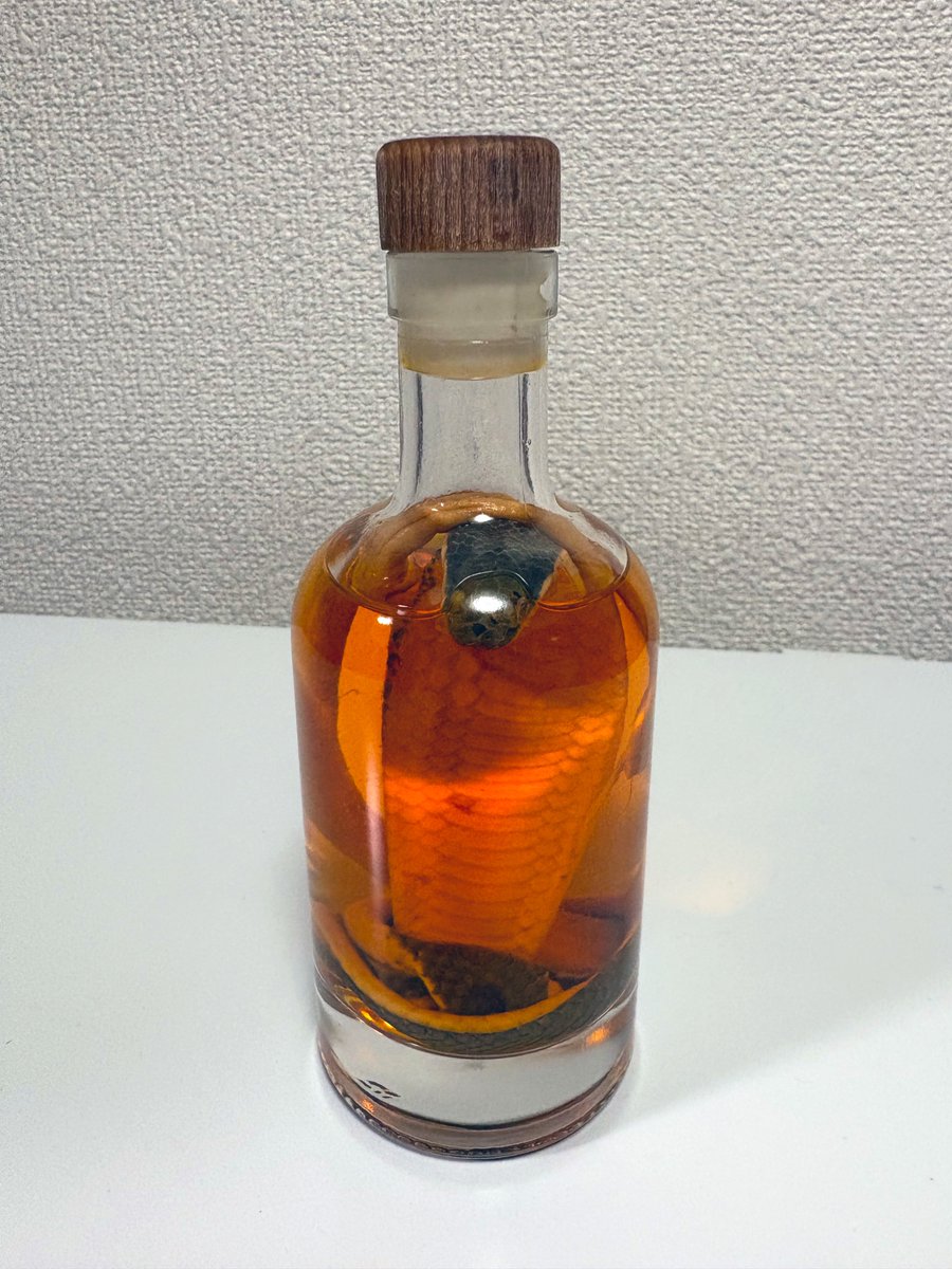 練馬のオフタン tweet media