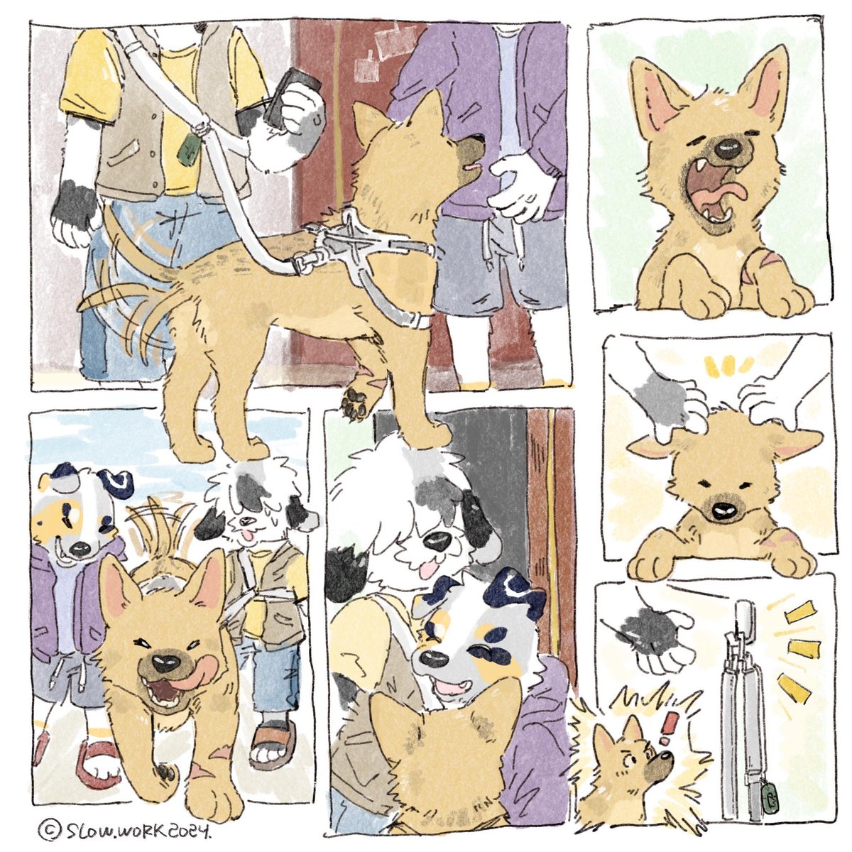 slowwork_'s tweet photo. Happy Dog 🐶 

✦https://t.co/Sn49AM7Aq1 https://t.co/OIT4kee1Y9