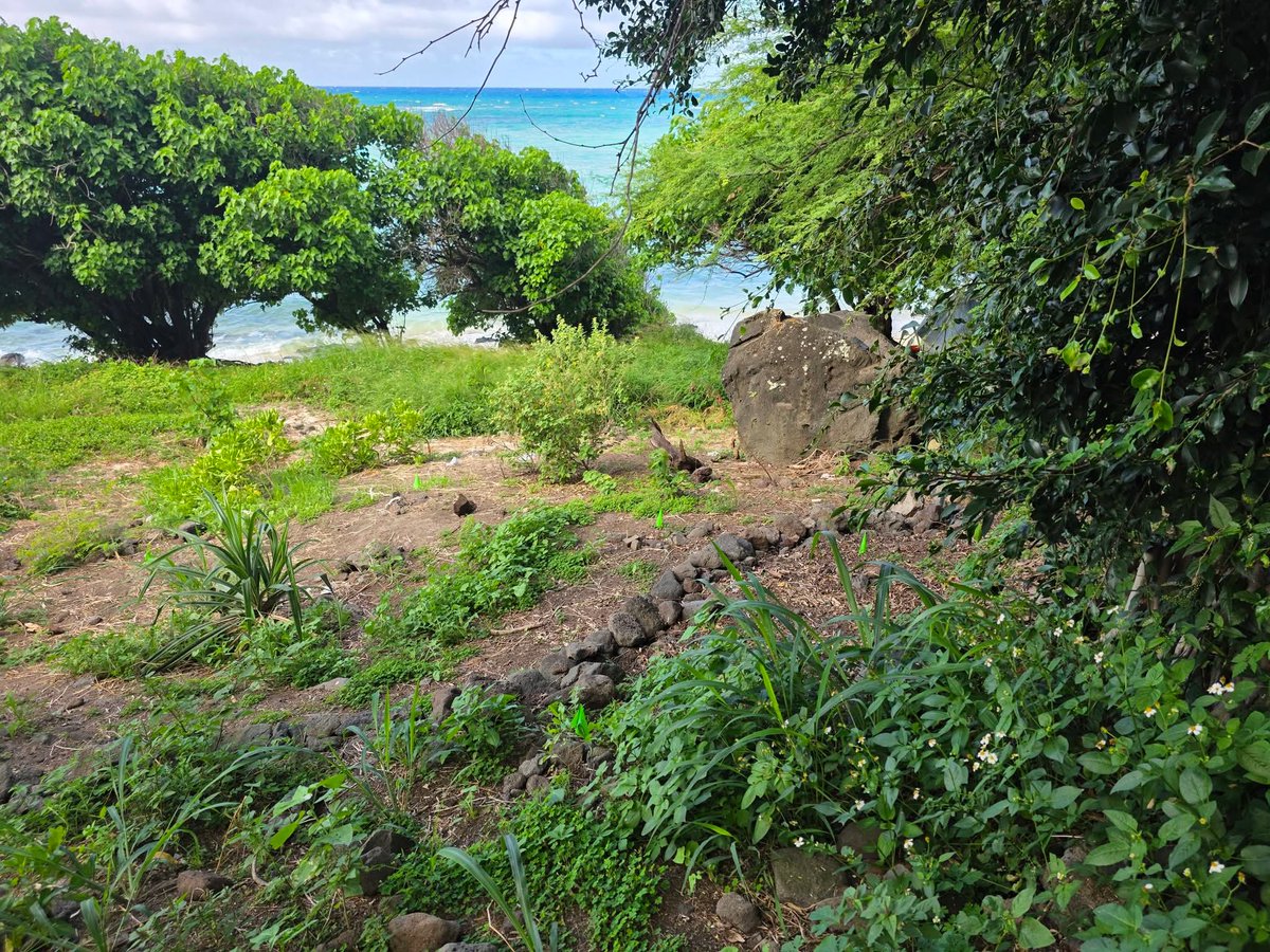 808cleanups tweet media