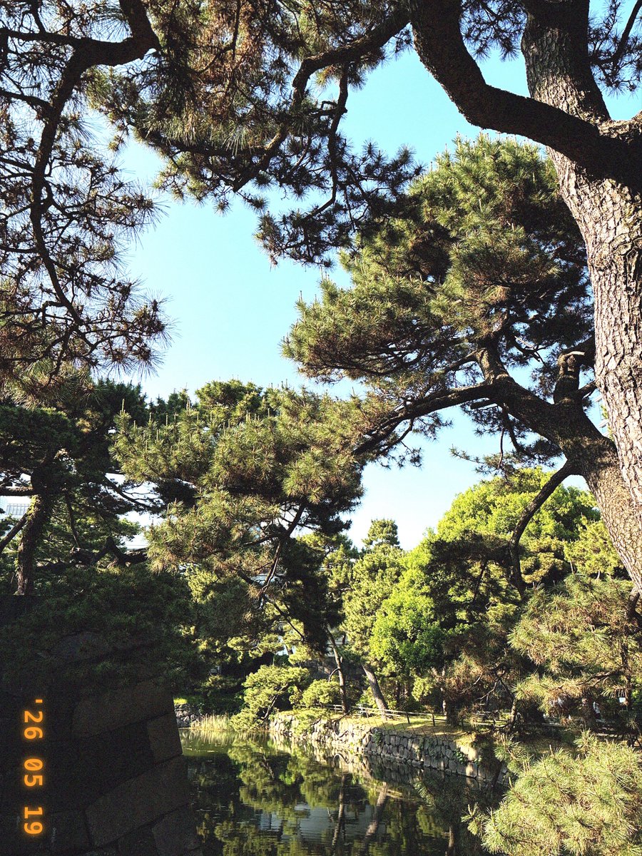 ikasumi_dev's tweet photo. VHS-style shots with Japanese vintage postcard vibes 🤳📸

#indiedev
#solodev
#iosdev
#retroaesthetic
#retrojapan
#showa
#vhsstyle https://t.co/zCd91J5mq1
