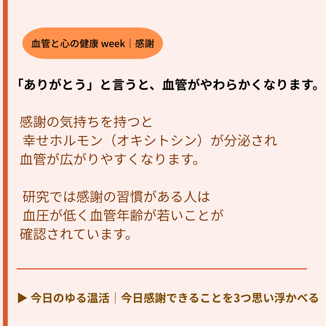 レイコ@血管ケアと温活 tweet media