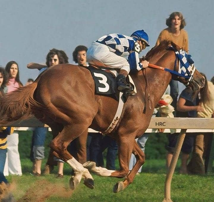 blindadosalas1's tweet photo. #Hipismo #CrónicasDelPreakness 📯 El 19/05/1973 SECRETARIAT 🇺🇸 impuso su clase en el #Preakness pese a una mala salida, quedando a un paso de la inmortalidad. El tiempo fue oficialmente (113 2⁄5) luego de una controversia con el #TeleTimer de #Pimlico (115") que duró 40 años. https://t.co/wYKRD4spRm