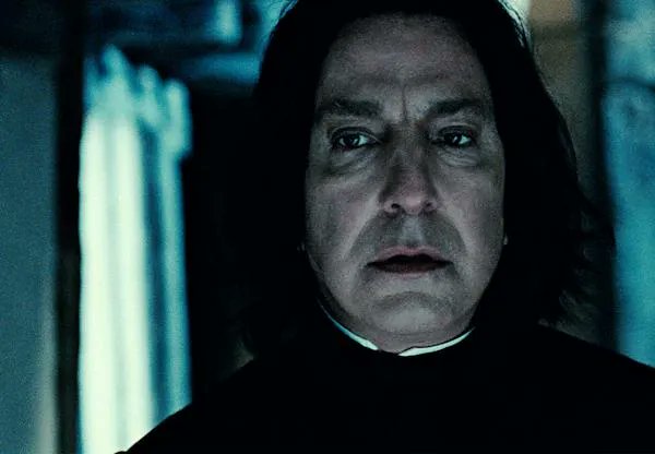 The Half-Blood Daily tweet media