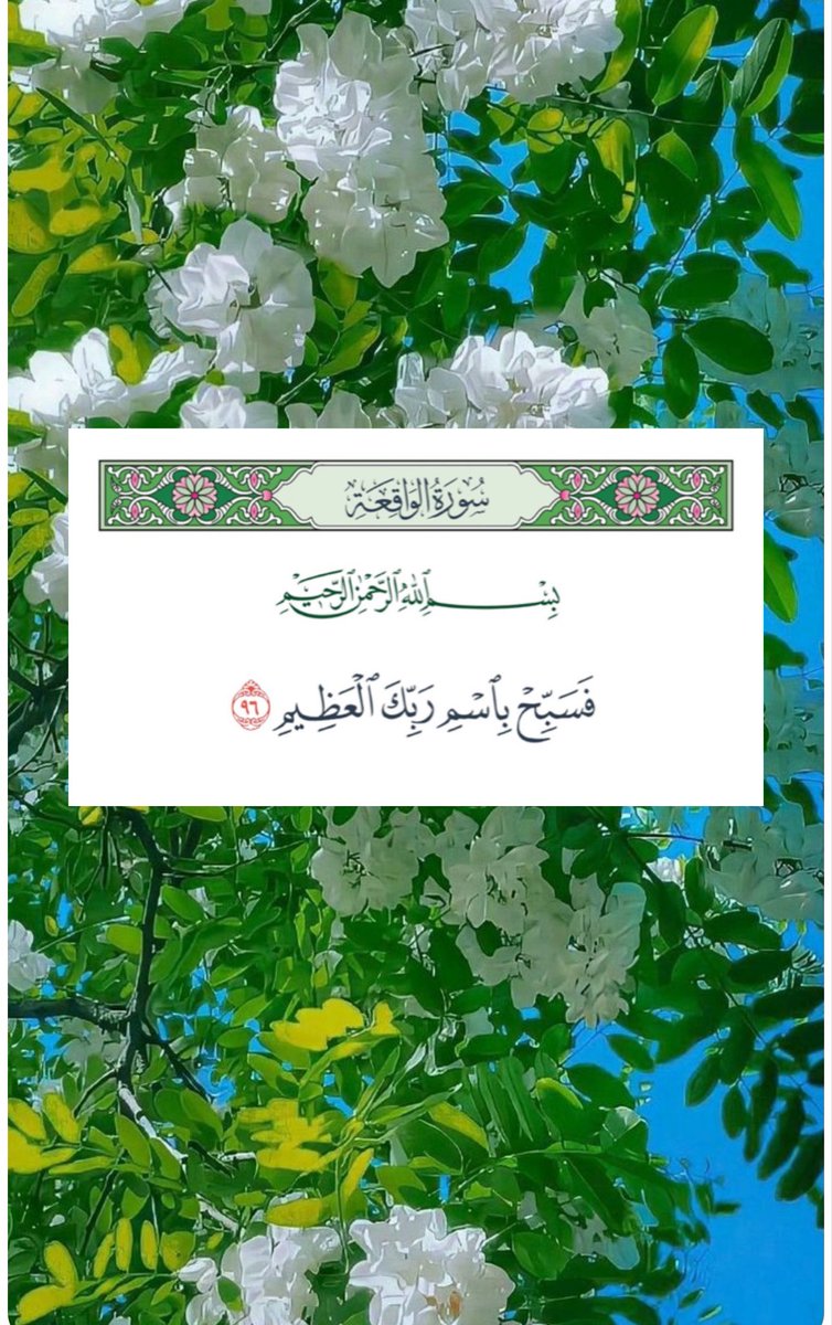 80Nwal's tweet photo. ✳️
سبحان الله العظيم وبحمده 🌿🌿
  سبحان الله العظيم وبحمده 🌿🌿
    سبحان الله العظيم وبحمده 🌿🌿
      سبحان الله العظيم وبحمده 🌿🌿
        سبحان الله العظيم وبحمده 🌿🌿
          سبحان الله العظيم وبحمده 🌿🌿
            سبحان الله العظيم وبحمده 🌿🌿
✳️ https://t.co/fmvVdfcZVd