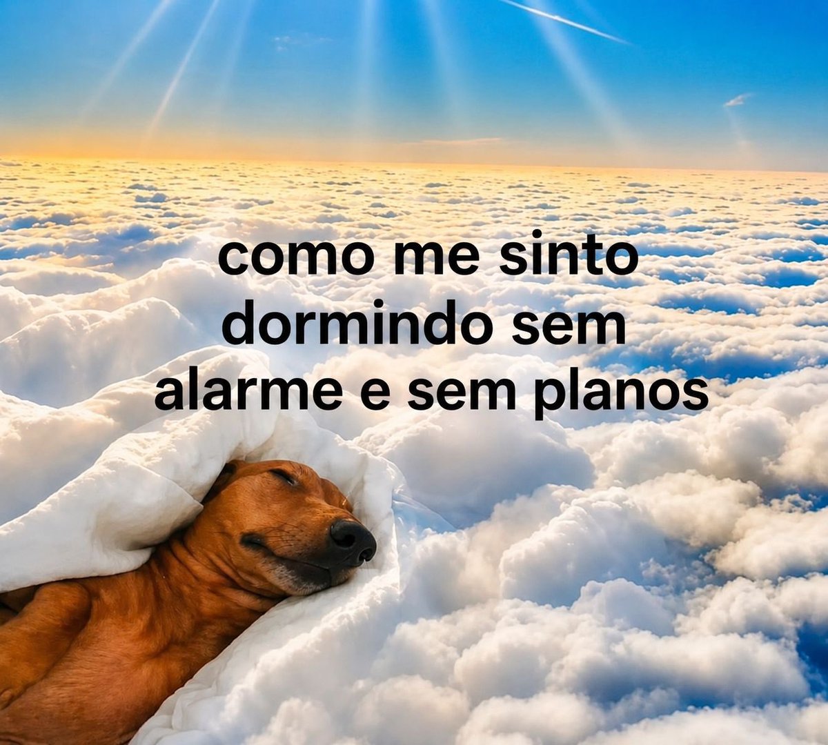 Frases tweet media