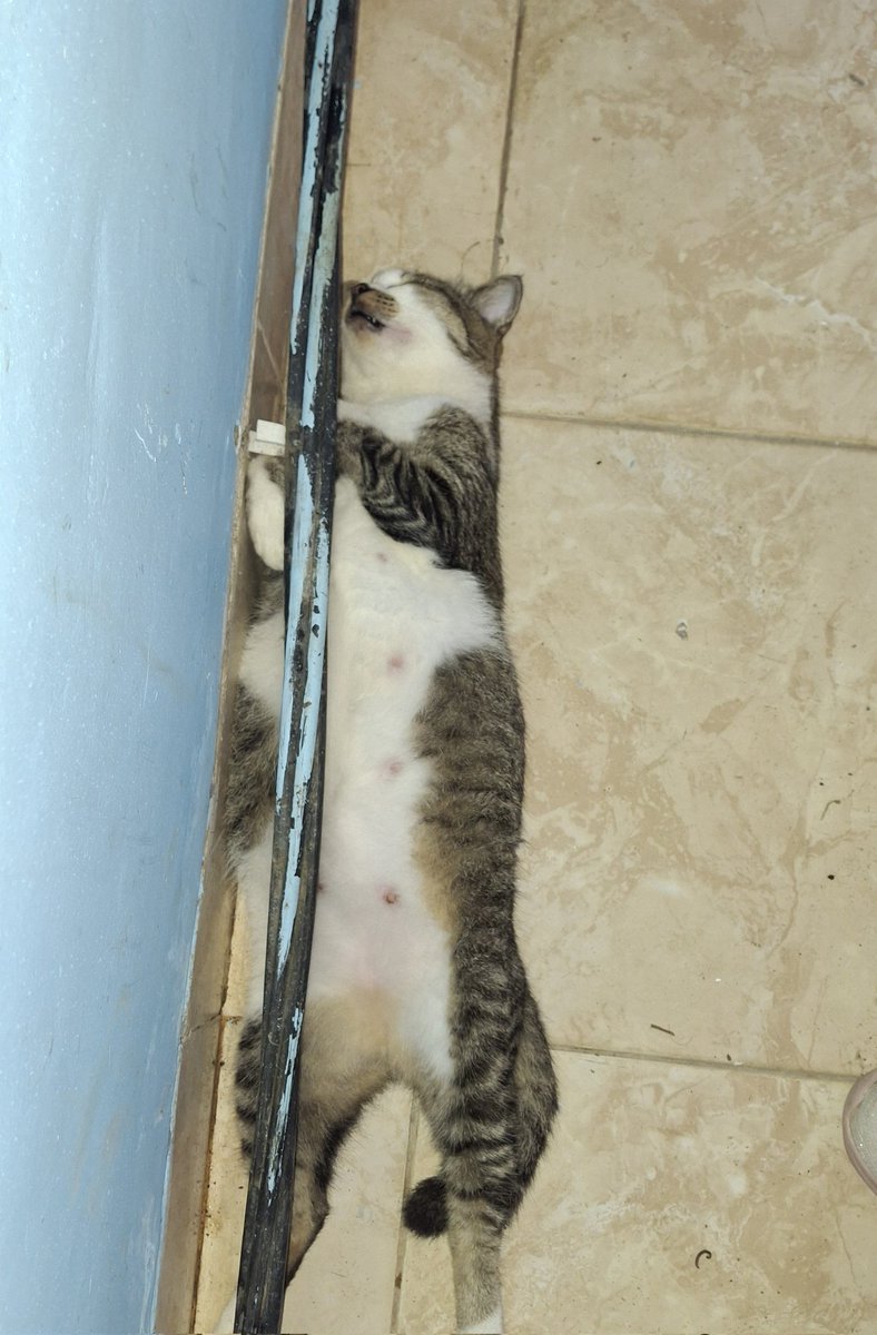 markiestuff's tweet photo. NGAKAK MUKA DIA PAS GUE GANGGUIN TIDURNYA😭😭😭 https://t.co/vlyuMSBdiw