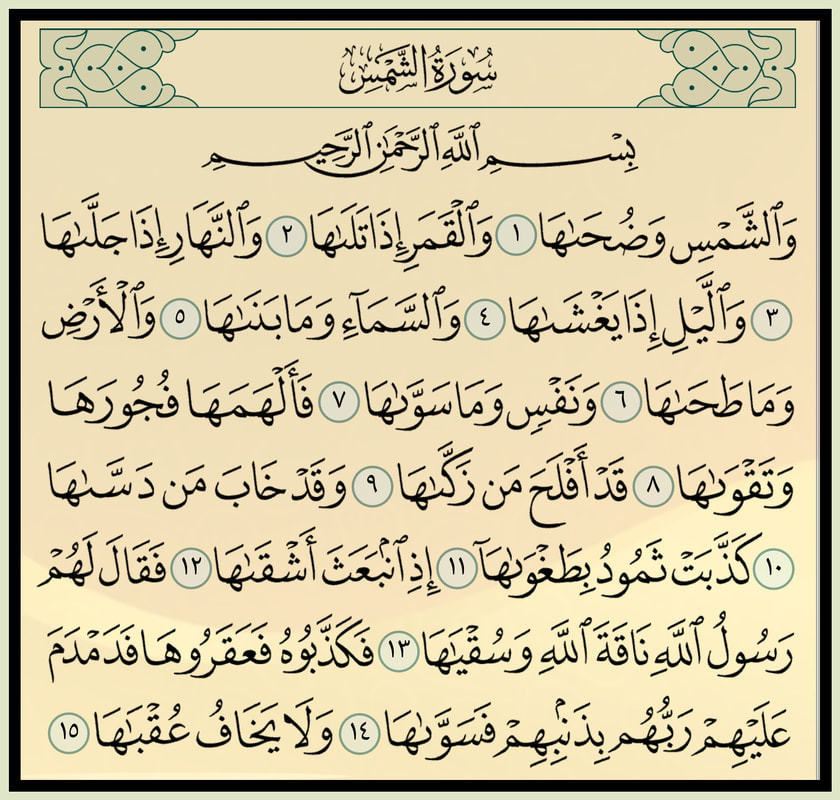 زَائِرُ الحُسَيْن عَبدُ فاطِمْ. tweet media