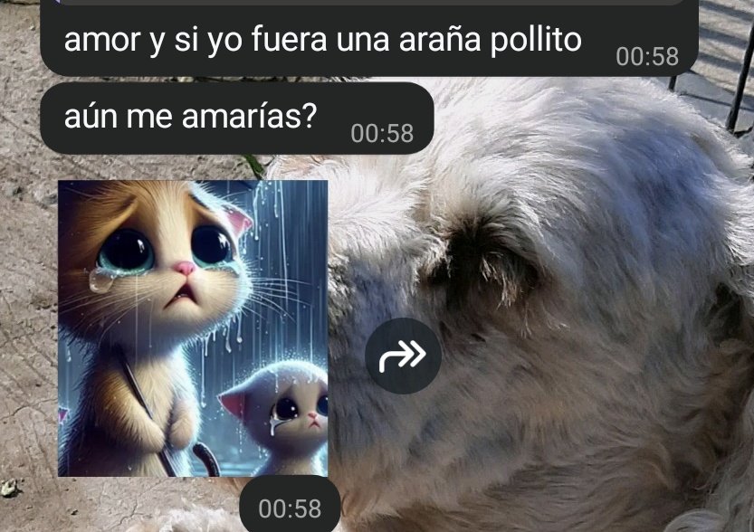 marti tweet media