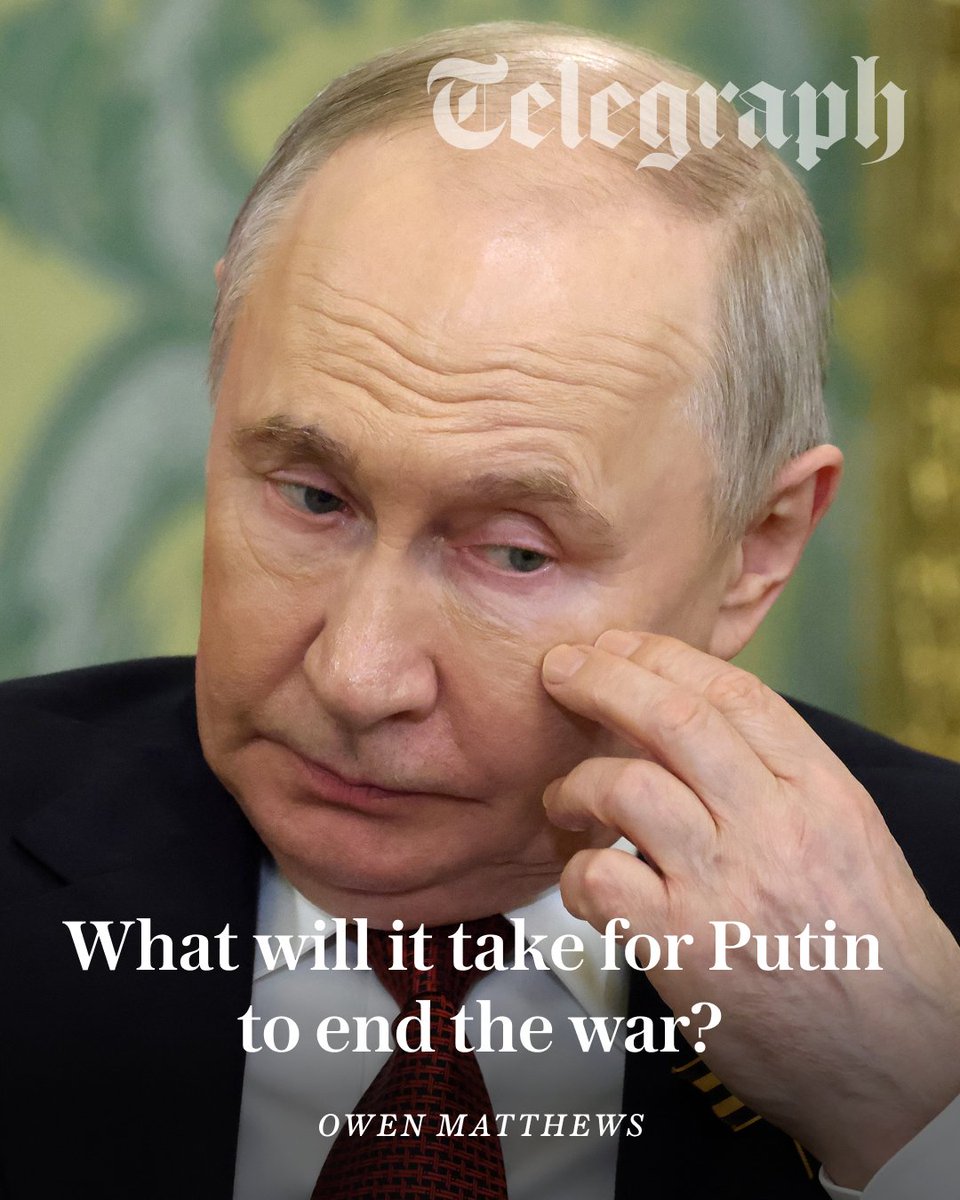 The Telegraph tweet media