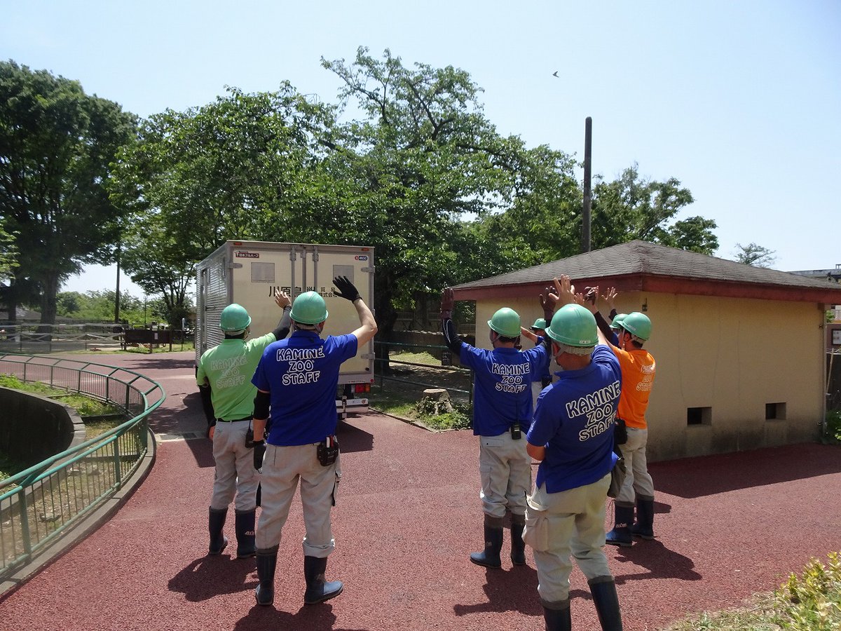 日立市かみね動物園〔公式〕 tweet media