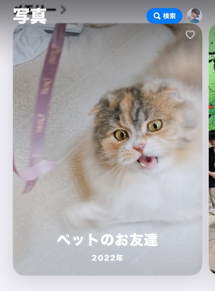 ひなち ひなち (@_h1nachu) / Posts / X