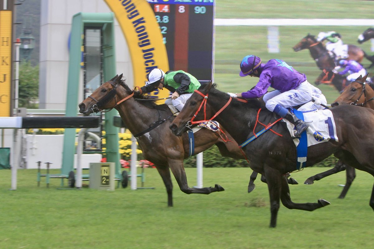 Ian__Sham's tweet photo. @clarkyhk had 59 wins in 2011-2013 @HKJC_Racing season in HK, included winning the HKG1 Hong Kong Classic Mile with It Has To Be You, the G2 Jockey Club Mile with Destined For Glory and the G3 Sa Sa Ladies’ Purse with Jacobee. 

#HKRacing https://t.co/fhiXo6v8rs