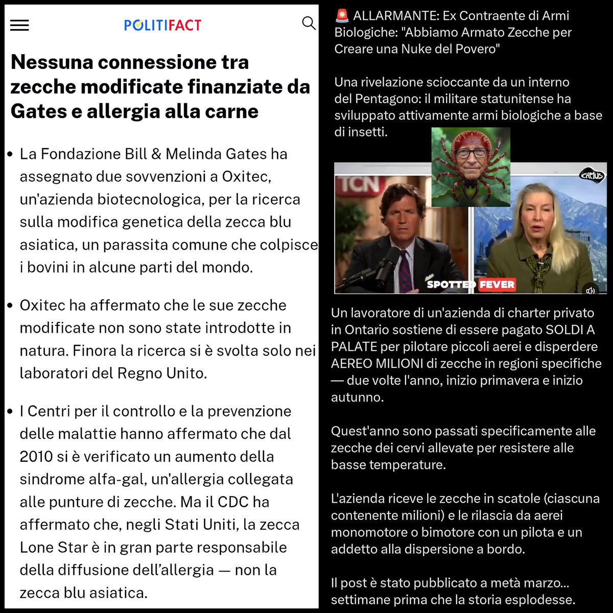 daRospo🐸aPrincipe🤴 tweet media