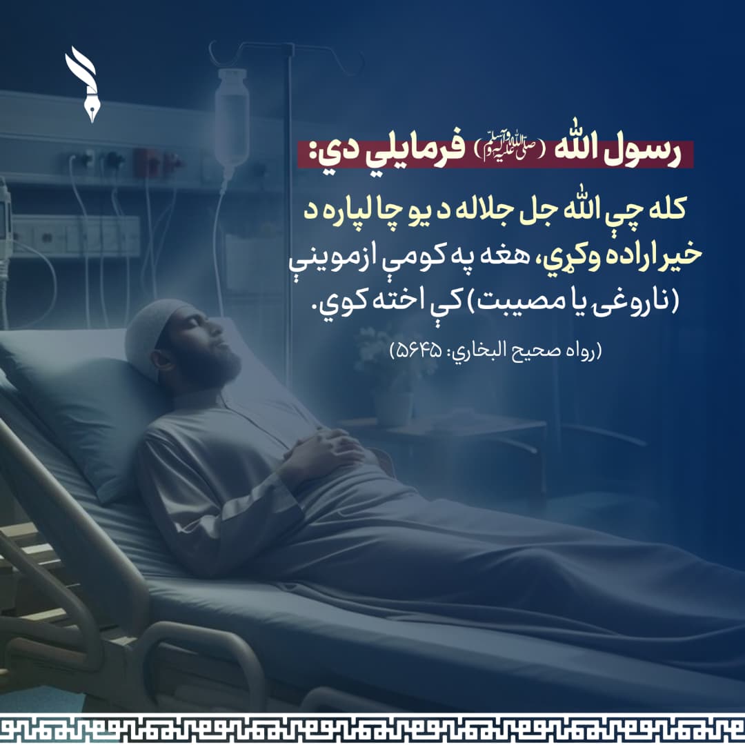 سعيد کندهاری tweet media