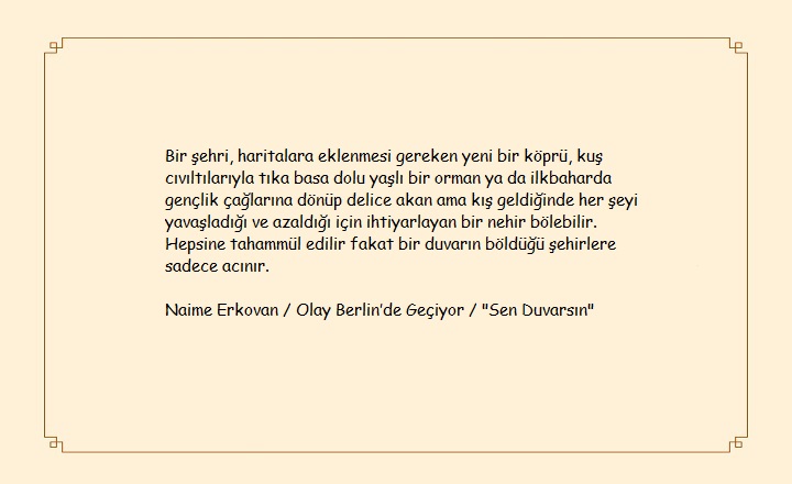 Hifsullah Altaçlı tweet media