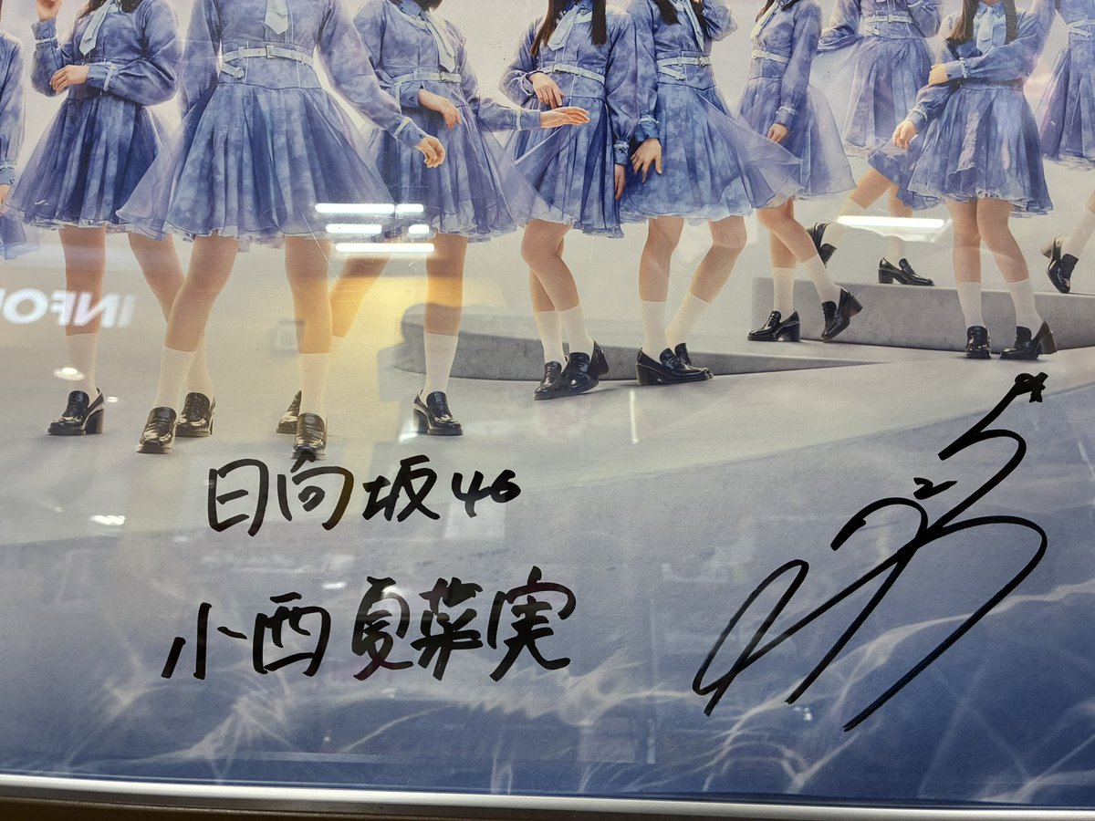 日向坂46】 ˗ˏˋ17thシングル💿ˊˎ˗ 『Kind of love』 本日 #フラゲ日