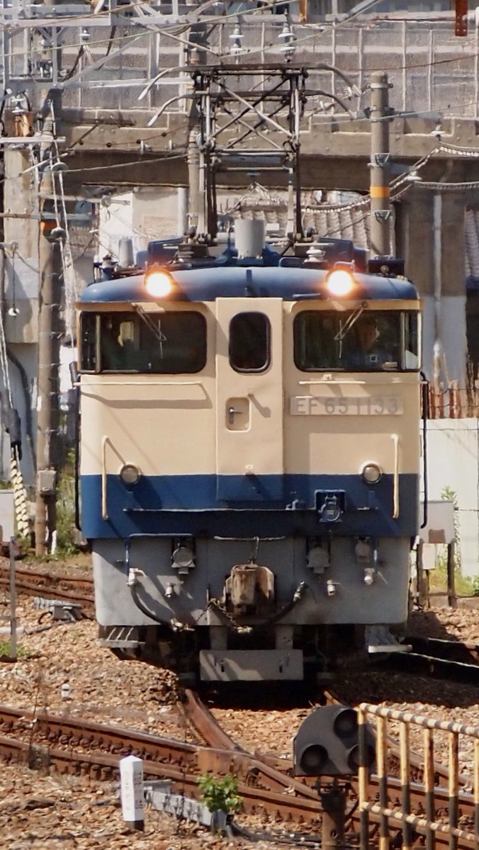 zoomingm7's tweet photo. ご近所でのEF65おっかけ(*´∀｀)＊ 
08/05/19（火）配7993レ 梅小路配給
EF65 1133

暑かったですねー
ご一緒した方々、おつかれ様でした

#下関機関区
#PF
#国鉄色
#ブルトレ世代
#ゆる鐡 https://t.co/vh8FhTmuZK