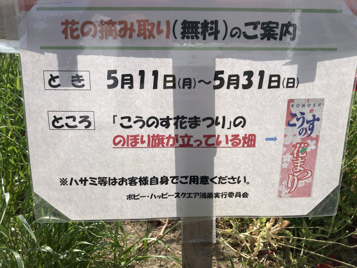 フラワーラジオ(公式) tweet media