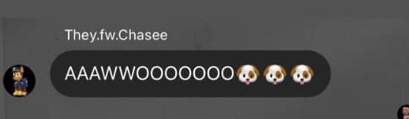 alex ꒱ 🦷 tweet media