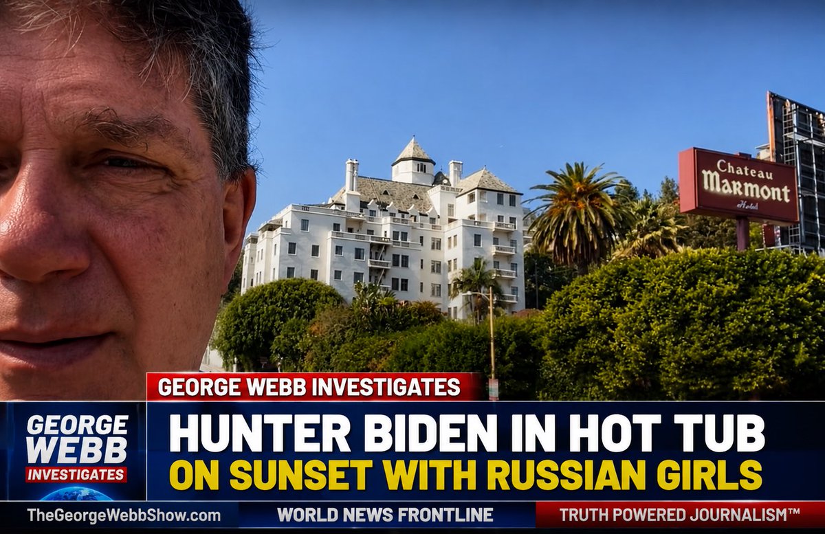 George Webb - Investigative Journalist tweet media