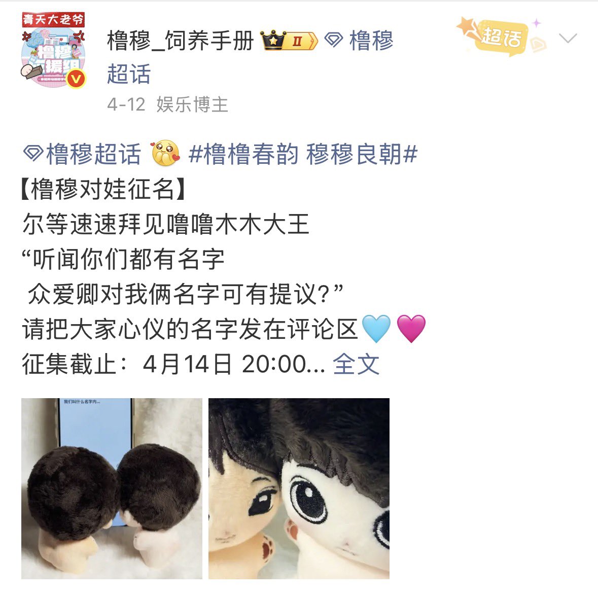 TF家族-面团 tweet media