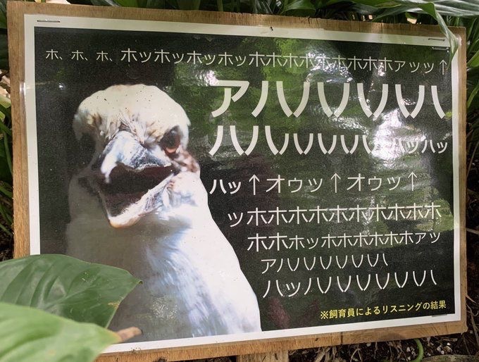 産業廃棄物 tweet media