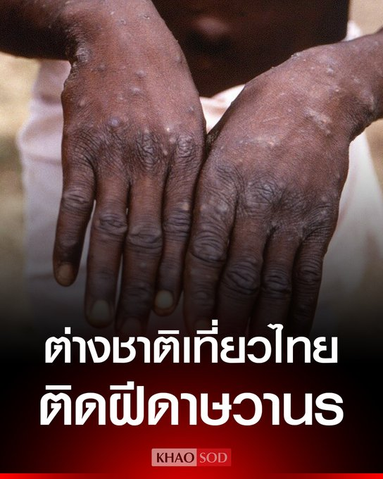 แมวเกเร tweet media
