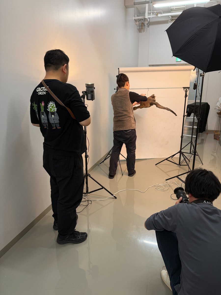 【公式】いきもの超ワールド展 tweet media