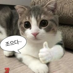 마싯는고기💀🎸 tweet media