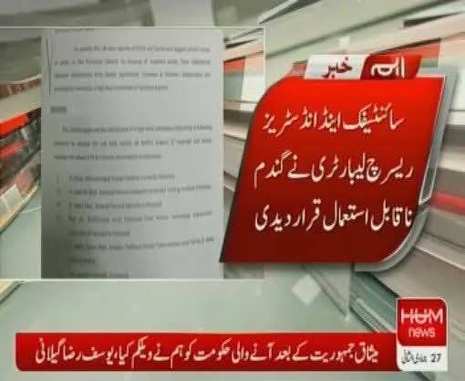 Amna Aman tweet media