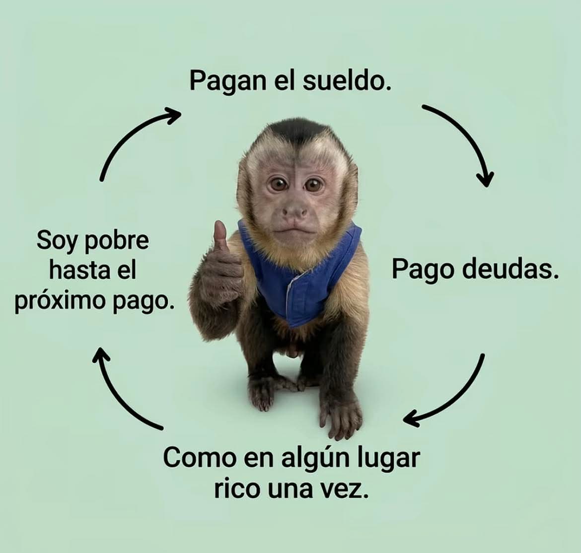 En Júpiter tweet media